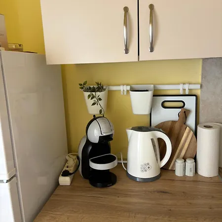 Fijan Apartman *